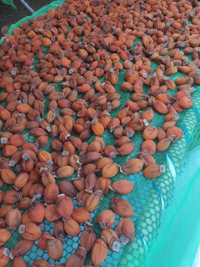 山东柿饼，临朐柿饼，自产自销，这是纯绿色无公害高山食品。