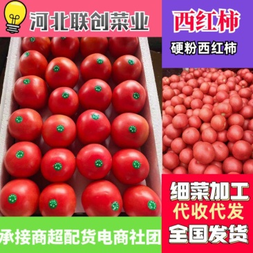 精品硬粉西红柿河北永年西红柿商超配车社区团购配货