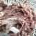 精品熟去皮牛头肉去油去淋巴厂家直发质量上乘供应全国