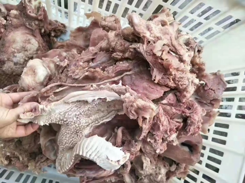 精品熟去皮牛头肉去油去淋巴厂家直发质量上乘供应全国