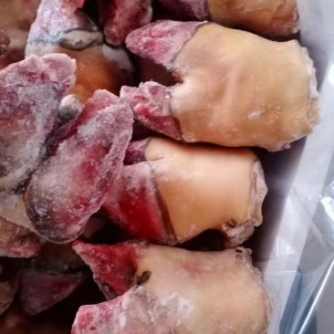 优质纯干生牛角掌厂家直发品质上乘供应全国