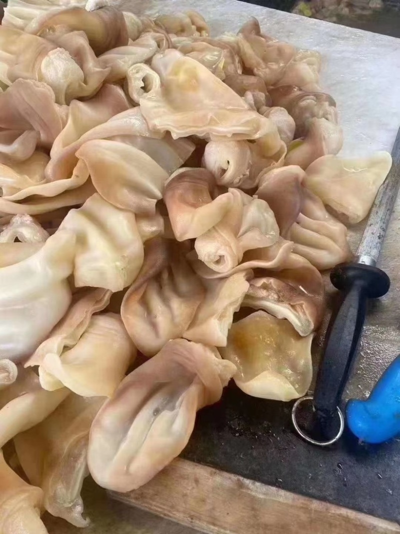 阳信熟食牛耳朵天天出鲜活真空包装量大从优