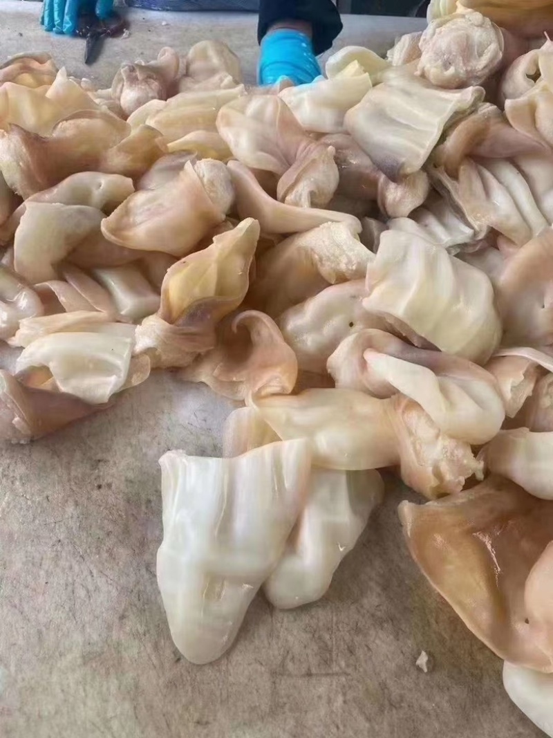 阳信熟食牛耳朵天天出鲜活真空包装量大从优