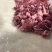 国产牛碎肉块正、纯干货厂家直发质量保证供应全国