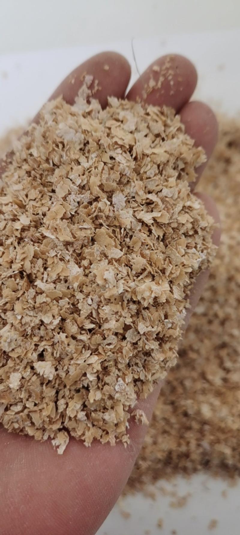 河北小麦麸皮，大片麦麸大量供应，大型加工厂基地直发
