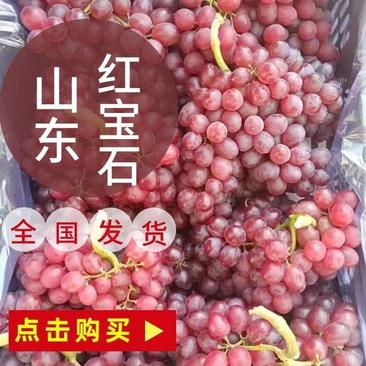 （热卖）龙口大棚红宝石葡萄大量有货，产地直供，货源充足