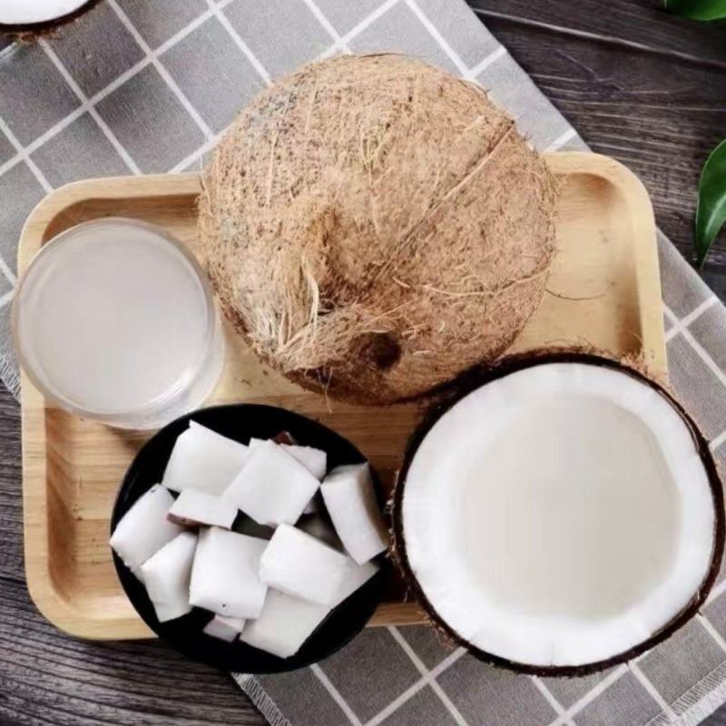 海南浓香型老椰，椰王，营养煲汤佳品，
