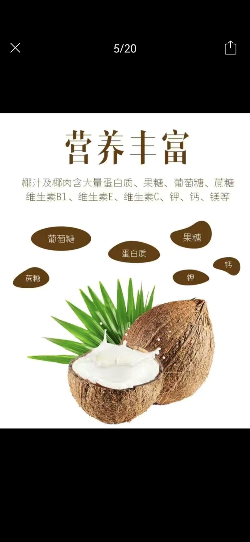 海南浓香型老椰，椰王，营养煲汤佳品，
