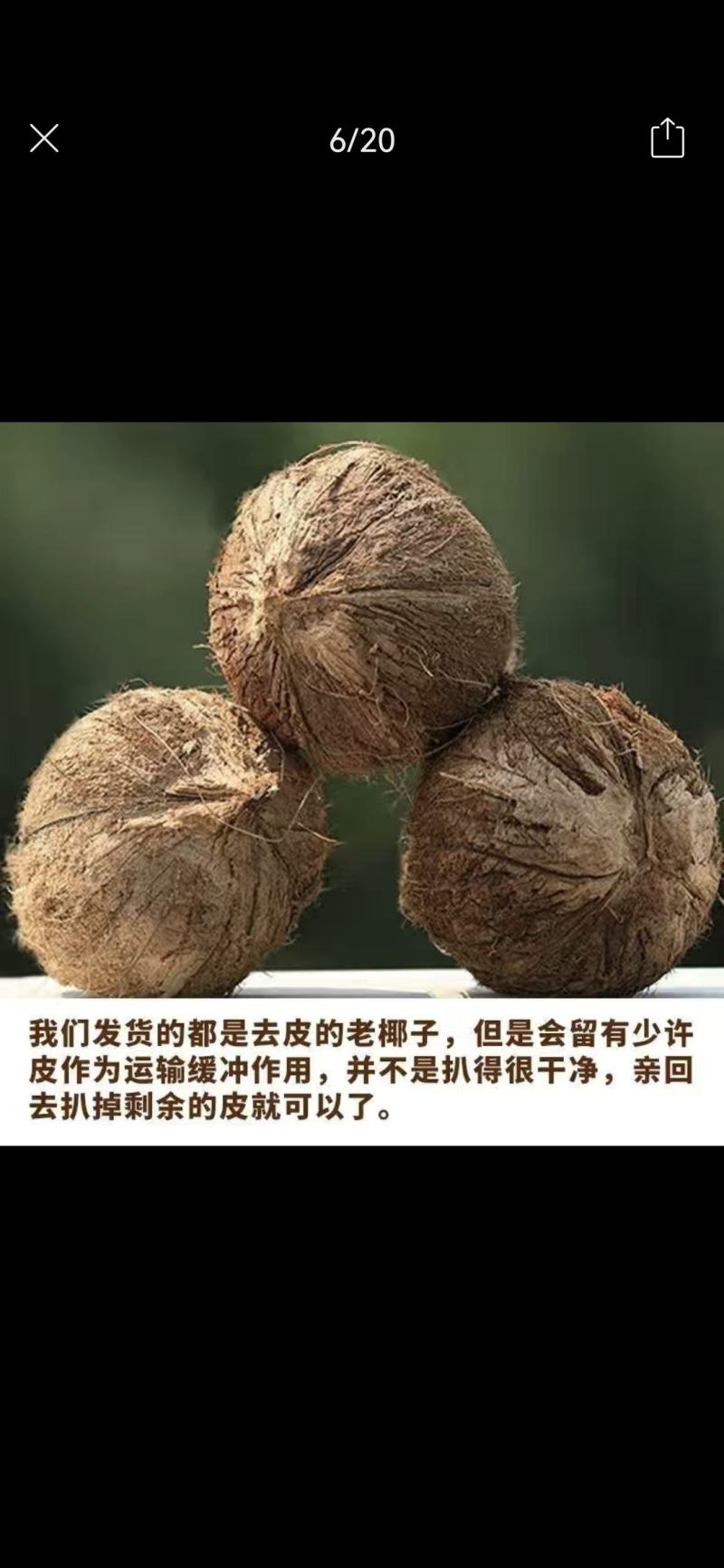 海南浓香型老椰，椰王，营养煲汤佳品，
