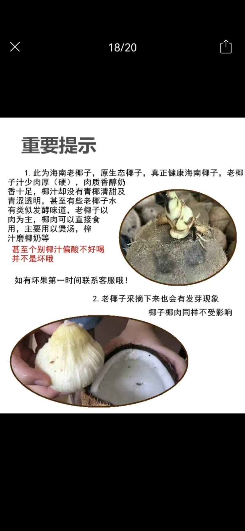海南浓香型老椰，椰王，营养煲汤佳品，