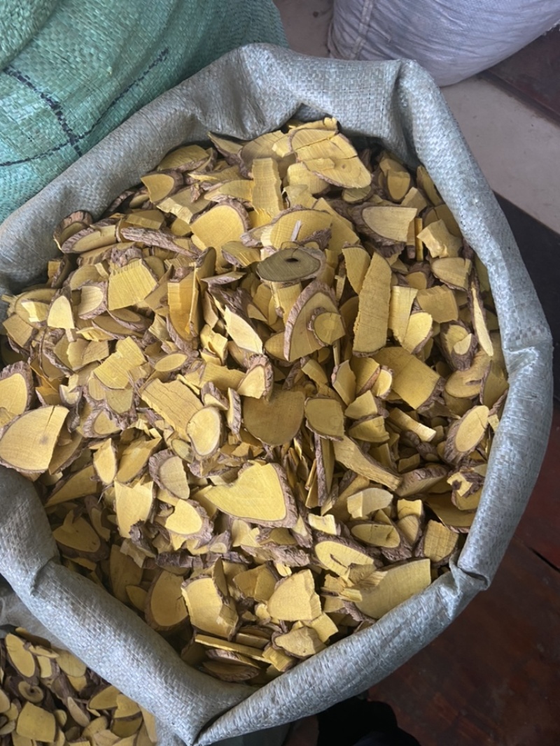 十大功劳木中药材土黄连土刺黄连三颗针
