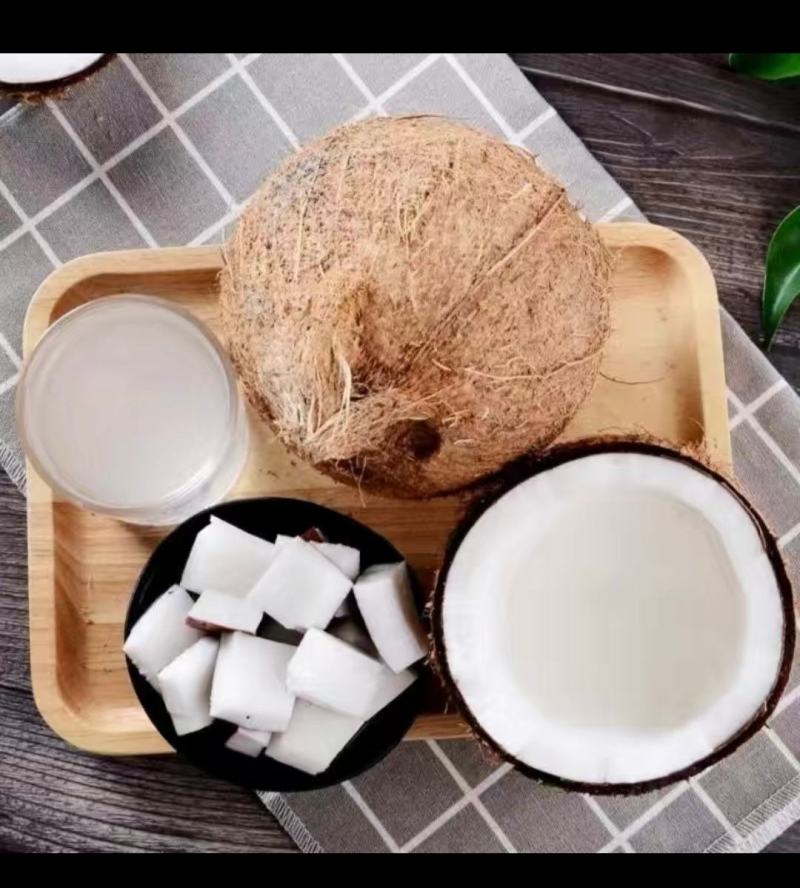 海南浓香型老椰，椰王，营养煲汤佳品，