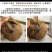 海南浓香型老椰，椰王，营养煲汤佳品，
