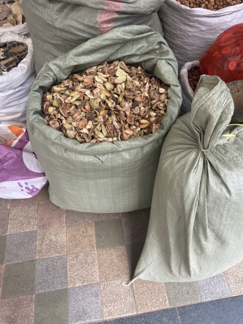 王不留行壳王不留行王不留行果中草药材