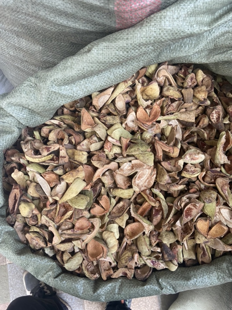 王不留行壳王不留行王不留行果中草药材