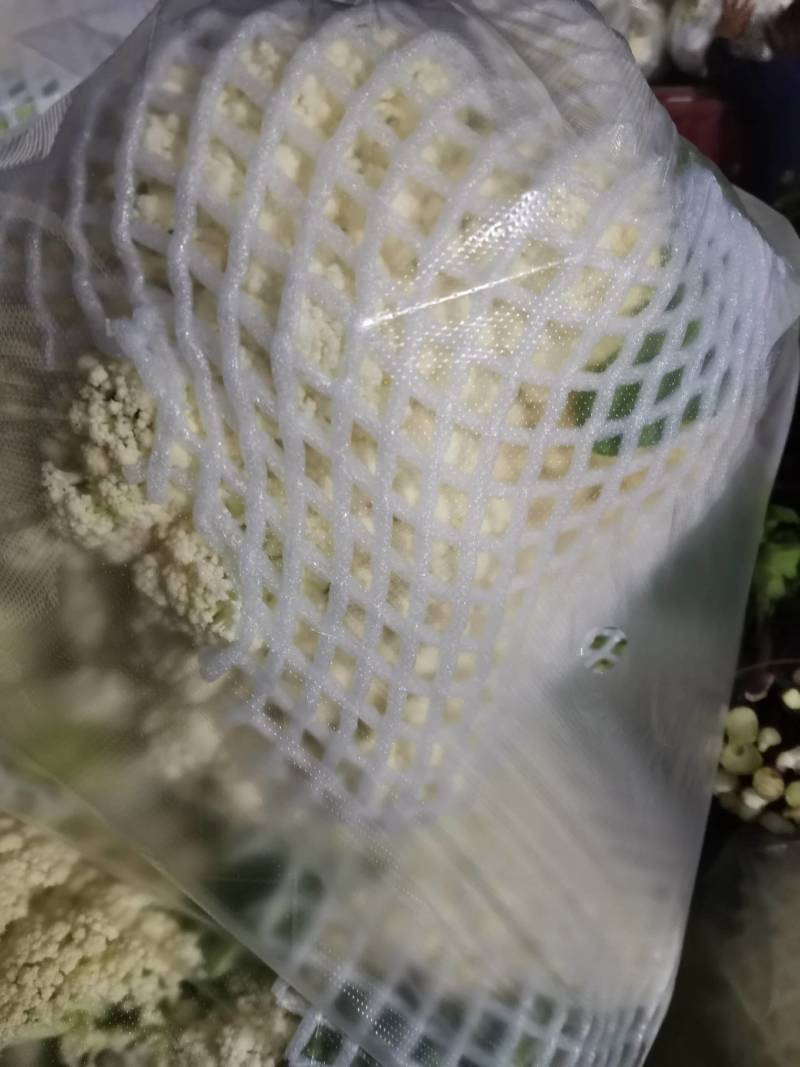 松花菜有机花湖北省当阳市菜花大量现货供应全国发售