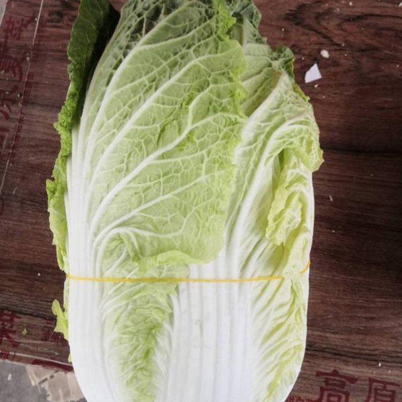平凉15吨大娃娃菜出售价格面议