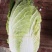 平凉15吨大娃娃菜出售价格面议