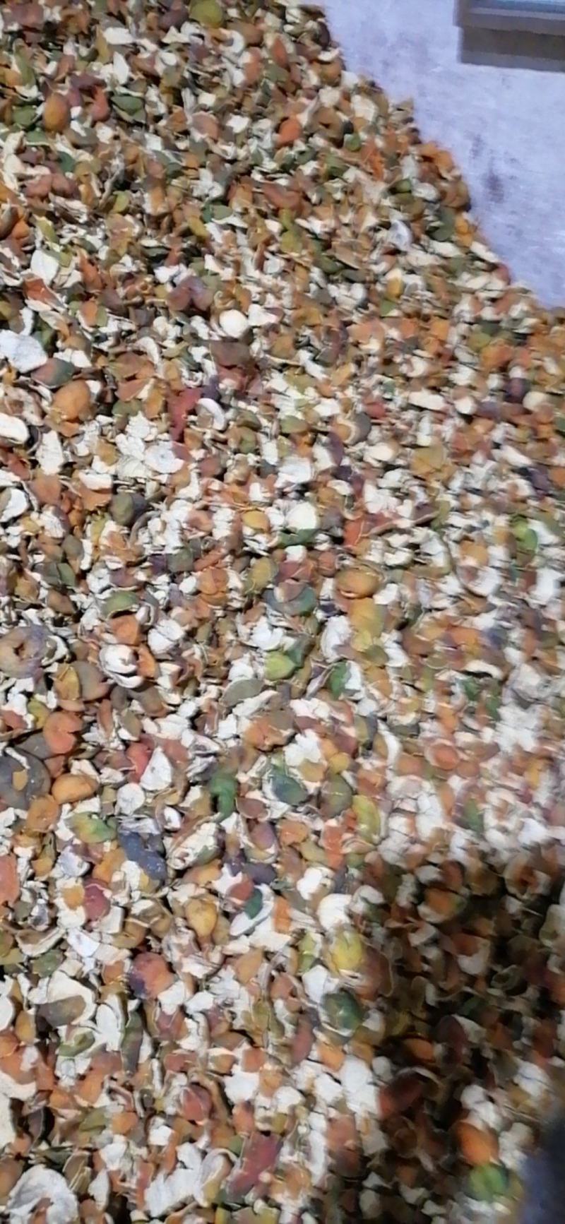 供应优质炕货陈皮