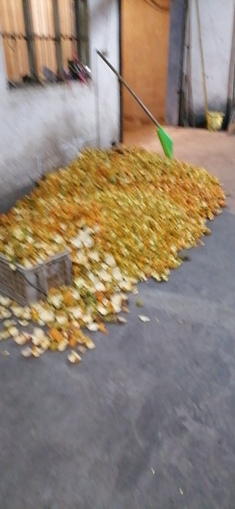 供应优质炕货陈皮