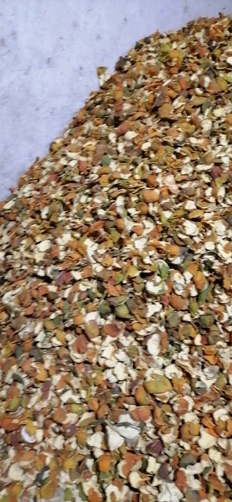 供应优质炕货陈皮