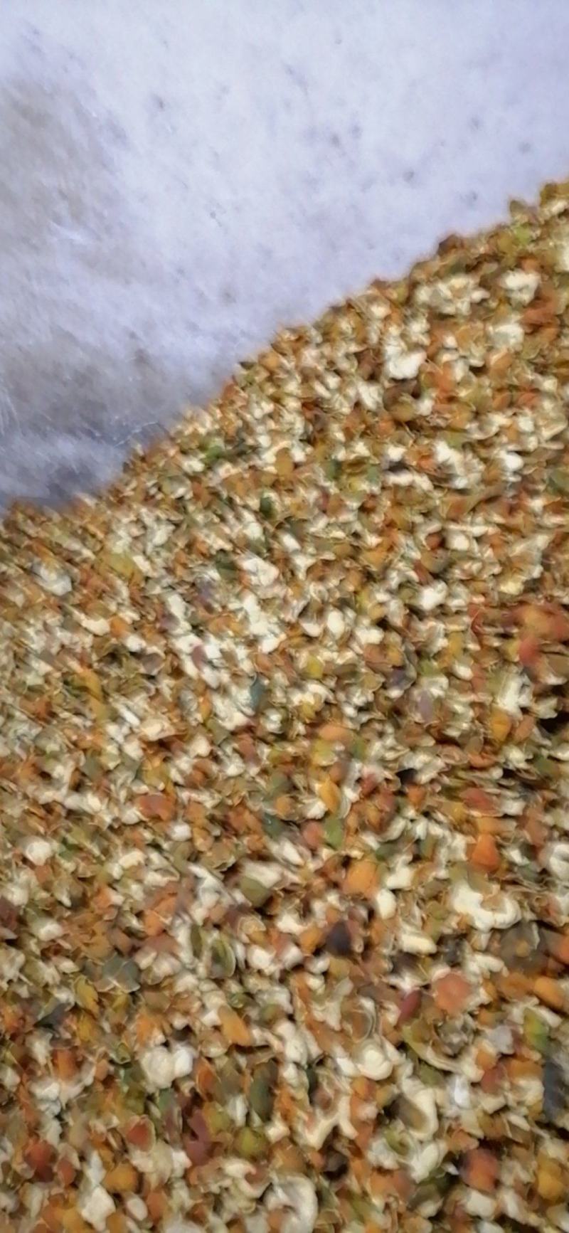 供应优质炕货陈皮
