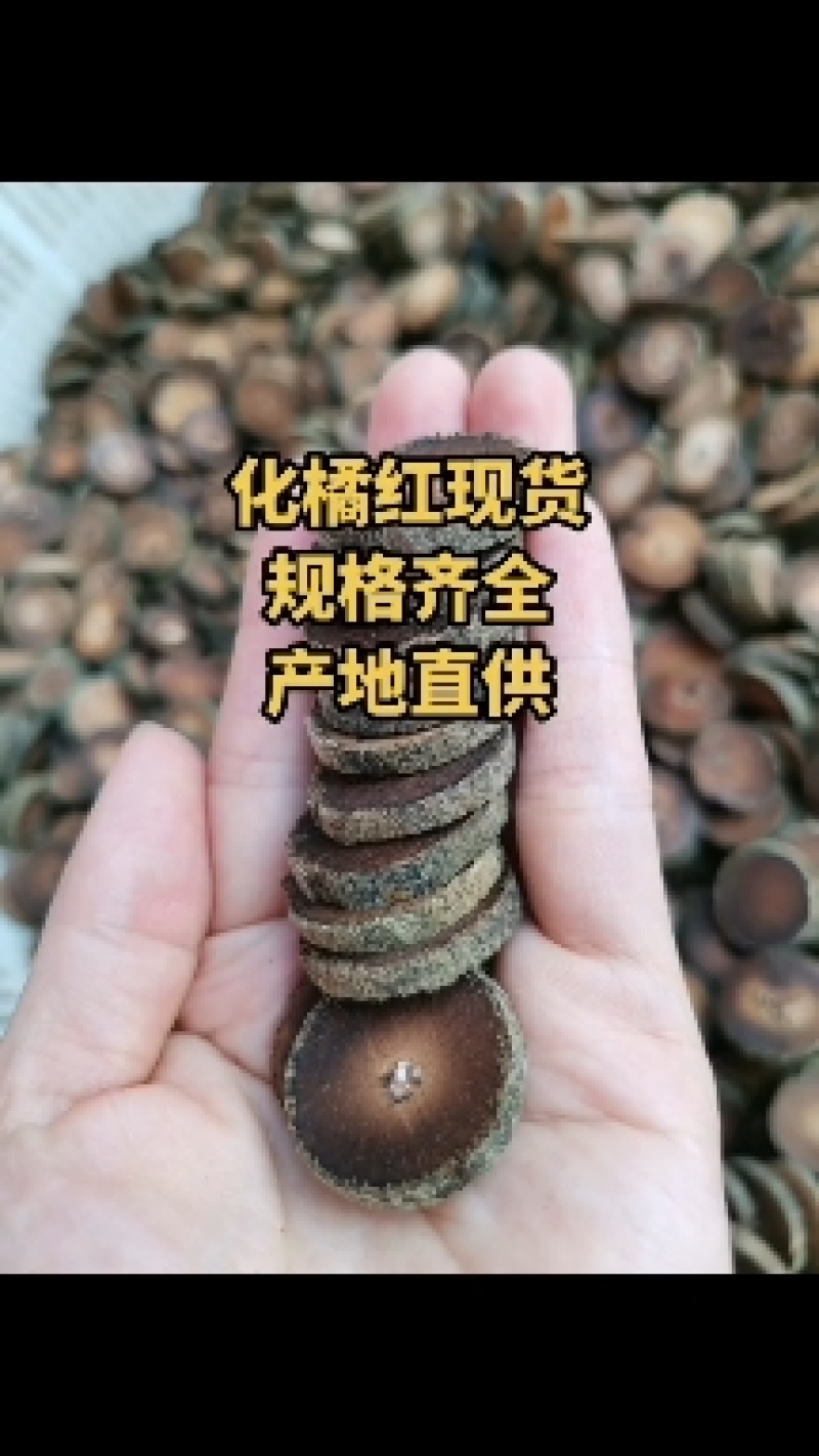 橘世堂新款10年正宗陈年胎果金正毛桔红化橘红皮茶咽喉远离