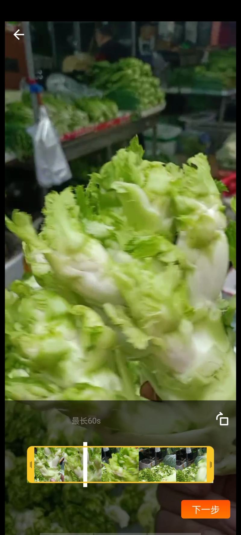 儿菜
