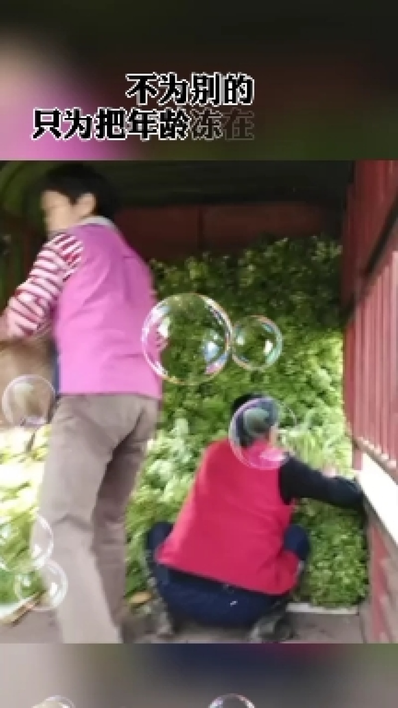 儿菜