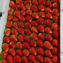 草莓草莓草莓天仙醉了