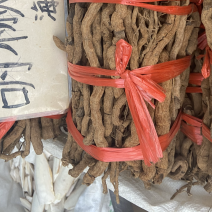 野生正宗纯老胡椒根正宗海南胡椒根泡酒煲汤