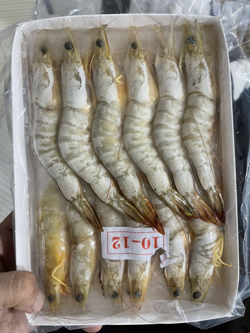 厂家直销天然海上大明虾工厂直销，客户可以下单定做