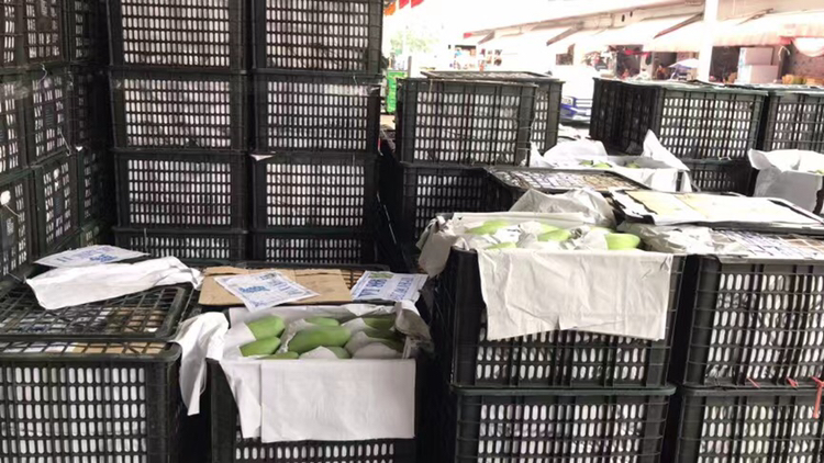 海南集市上售卖的新鲜大青芒