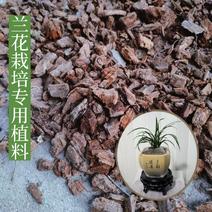 兰花专用植料无土栽培基质包邮纯干腐松木蔸八斤左右一大桶