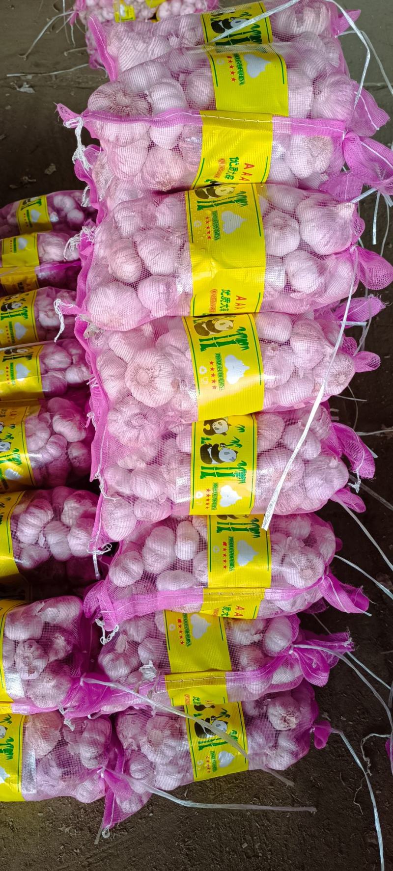 【精品】金乡大蒜山东干大蒜精品培育多瓣新鲜大蒜大量上市