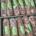 国产羊肉卷C不散不碎不柴产品直销货源充足，高中低档可选