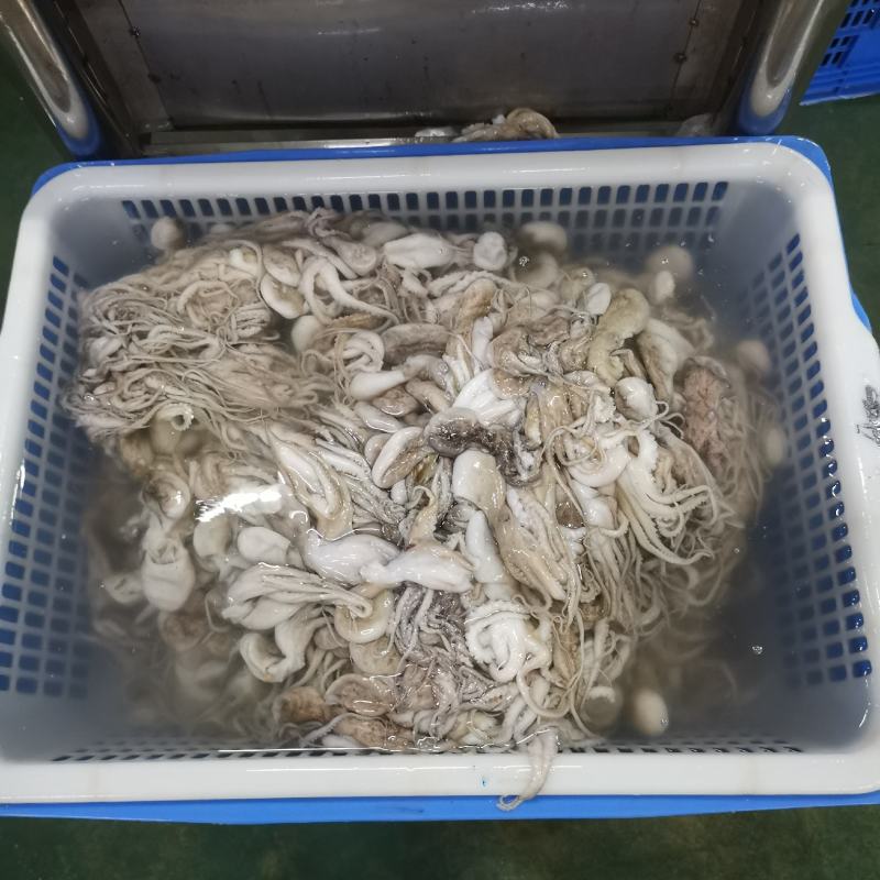 八爪鱼，肤色完整，Q弹爽脆！