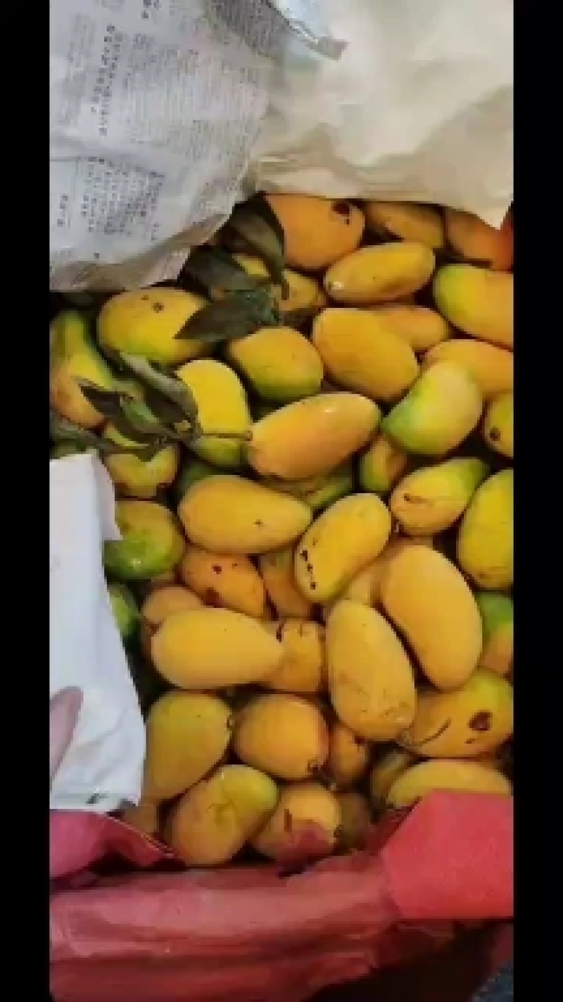 二级