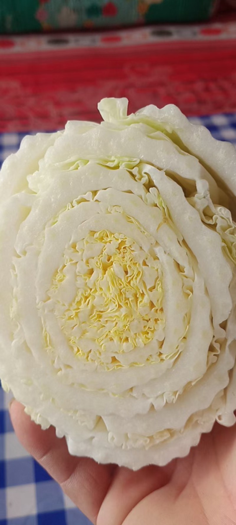 黄心白菜