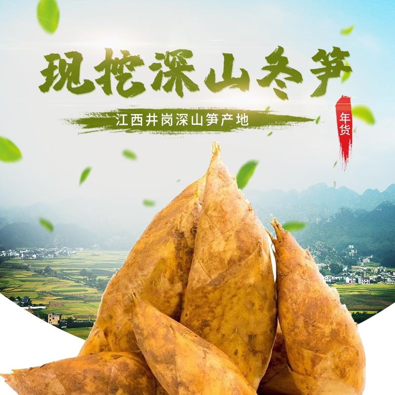 产地货源新鲜1斤冬笋竹笋统货蔬菜农产品黄泥冬笋500g