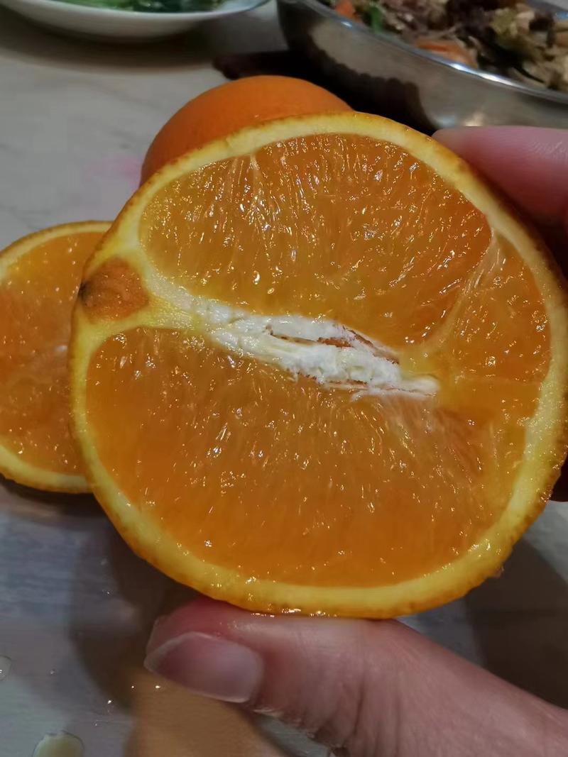 纽荷尔脐橙产地供货保质保量欢迎来电订购