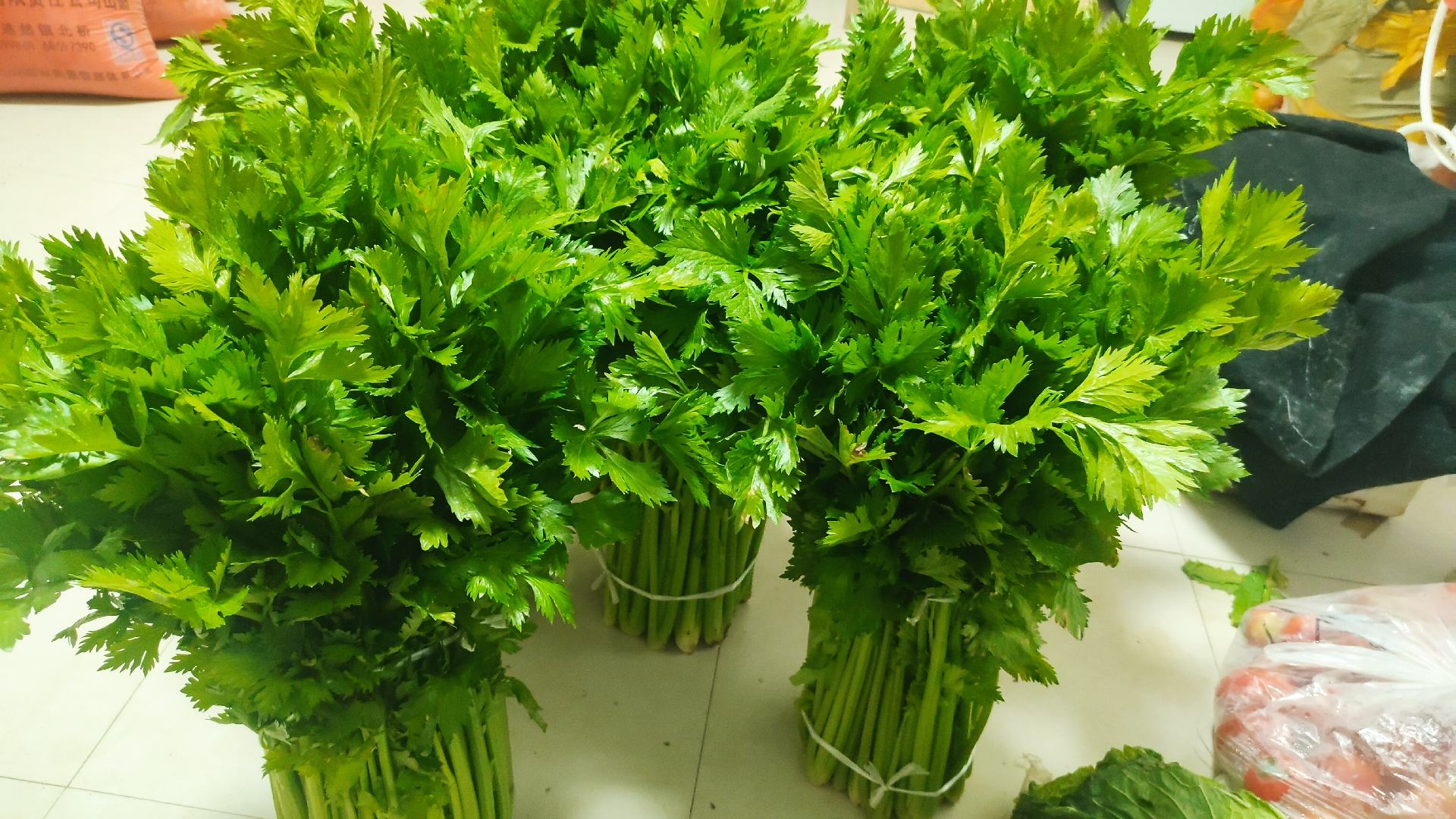 芹菜饺子成品图