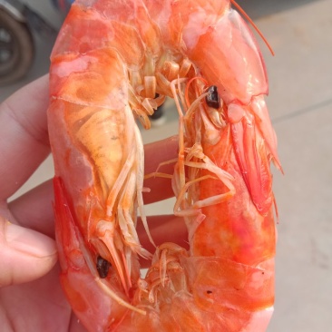 不咸虾类干虾沾化特产水产烤虾批发零售一件代发