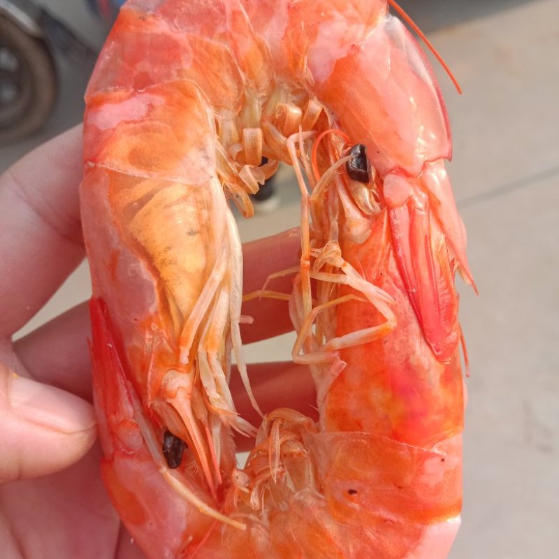 不咸虾类干虾沾化特产水产烤虾批发零售一件代发