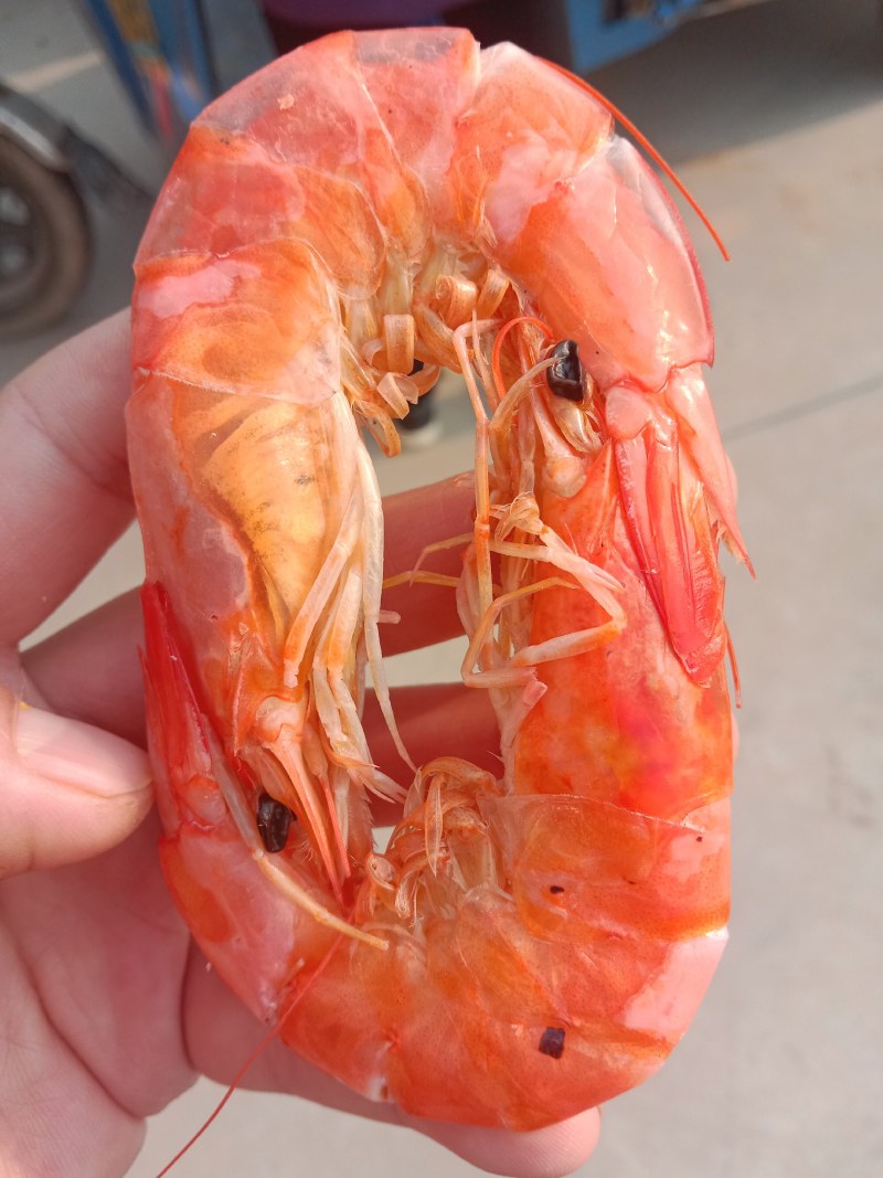 不咸虾类干虾沾化特产水产烤虾批发零售一件代发