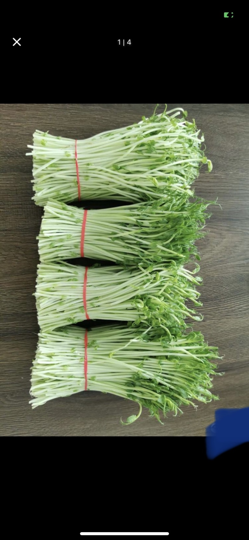 豌豆苗准备打包