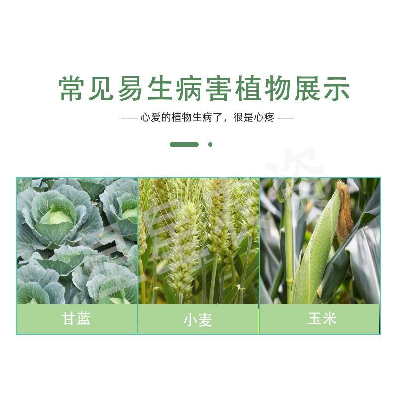 10%高效氯氟氰菊酯果蔬菜青虫地老虎地下害虫杀虫剂