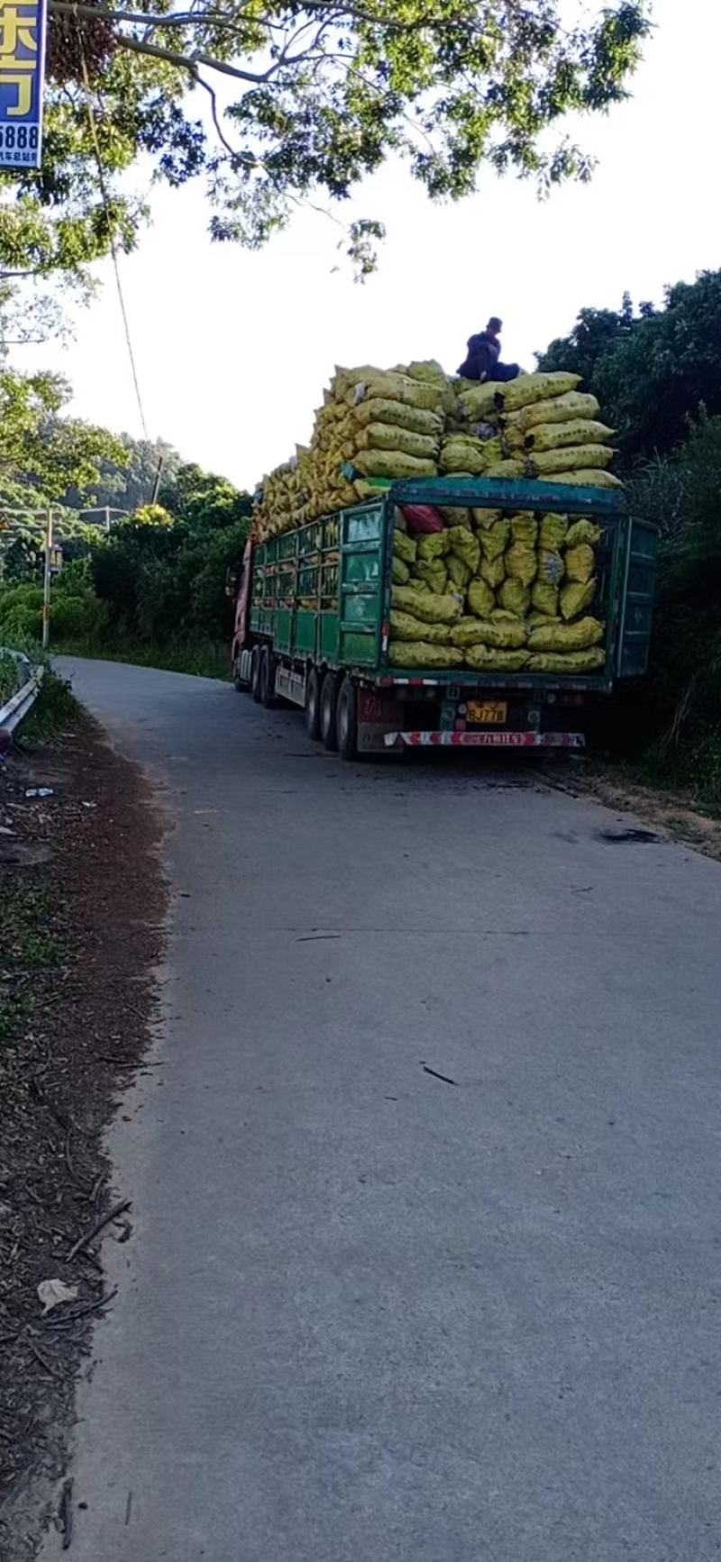 广西钦州浦北正宗荔枝木碳