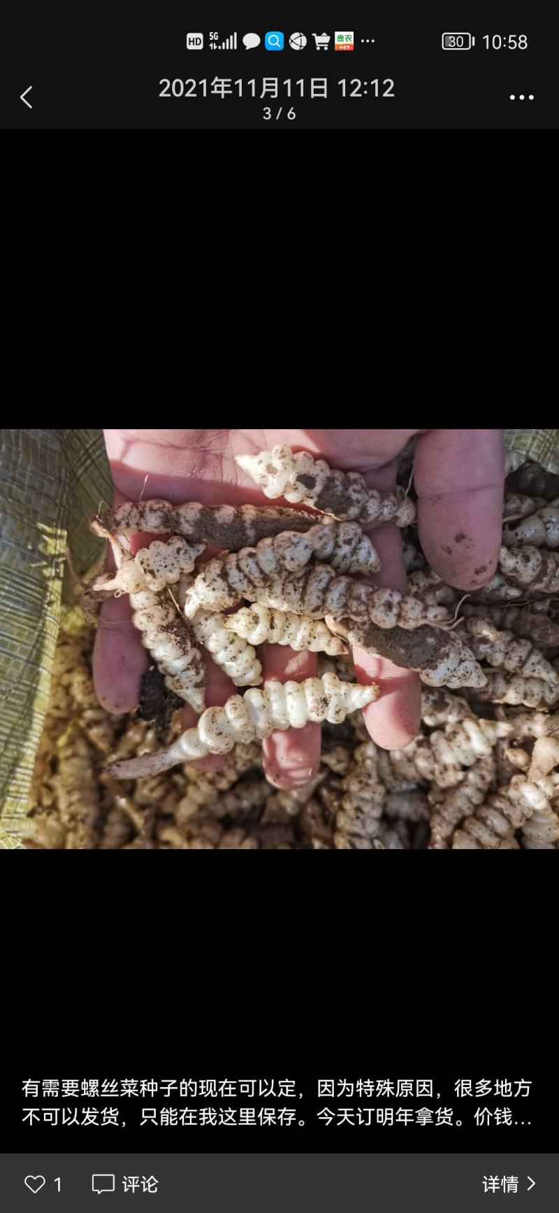 螺丝菜，宝塔菜。