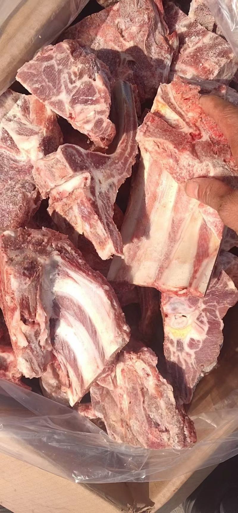 多肉胫骨块，团购神器，厂家直销，一手货源，价格低